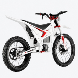 Купить Arctic Leopard MOUNTAIN LEOPARD E-XT 500 (OFF-ROAD) white  Фото 3