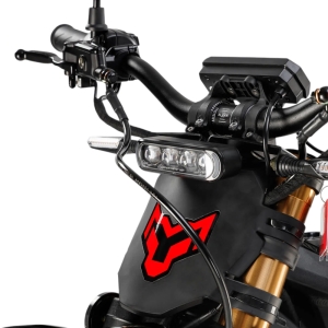 Купить Arctic Leopard Clouded XE PRO S SUPER L1E Gold  Black  Фото 4