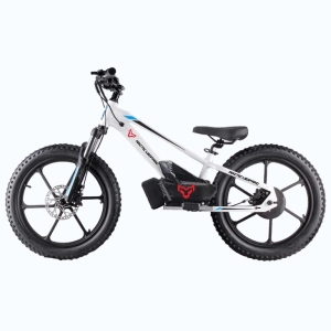 Arctic Leopard E-20Y white